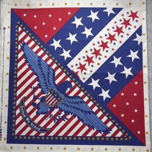 United We Stand Pillow Panel by Quilts of Valor for Andover Fabrics - 5/8 YD